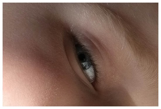 100% crop at 200mm f5.6