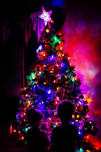 admiring their handiwork - x100s